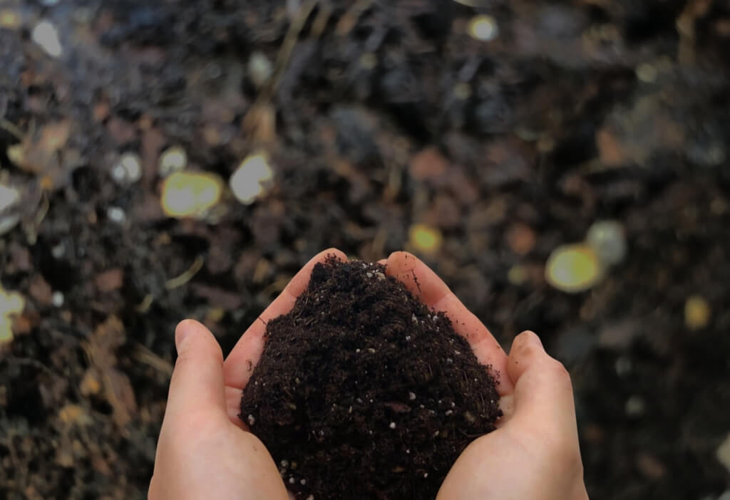 一番簡単な雑草堆肥（腐葉土）の作り方 | 雑木と芝生の庭DIY