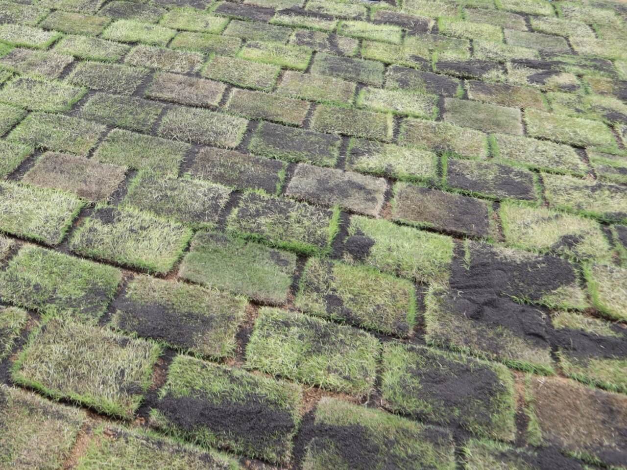 一番簡単な雑草堆肥 腐葉土 の作り方 雑木と芝生の庭diy